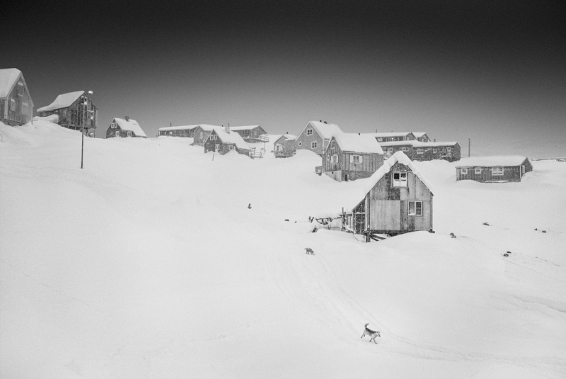 Arctic Heroes Nº 26