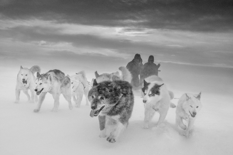Arctic Heroes Nº 87