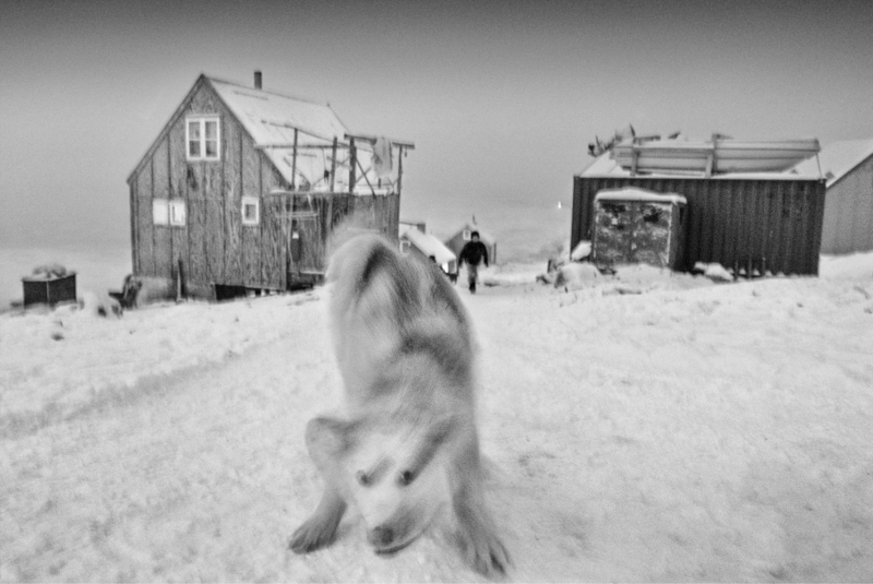 Arctic Heroes Nº 21