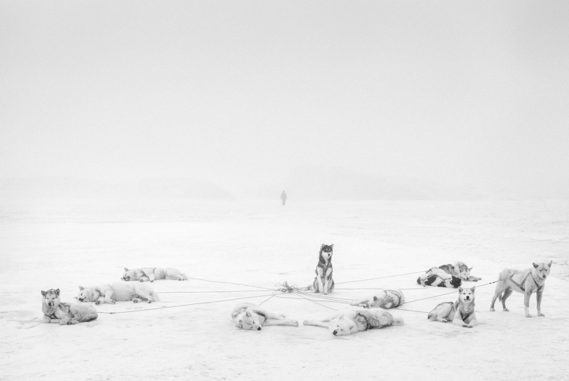 Arctic Heroes Nº 97