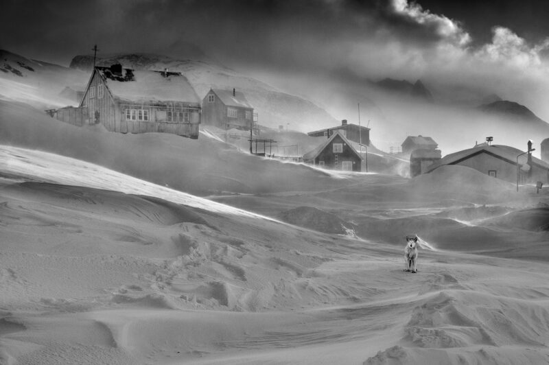 Arctic Heroes Nº 16