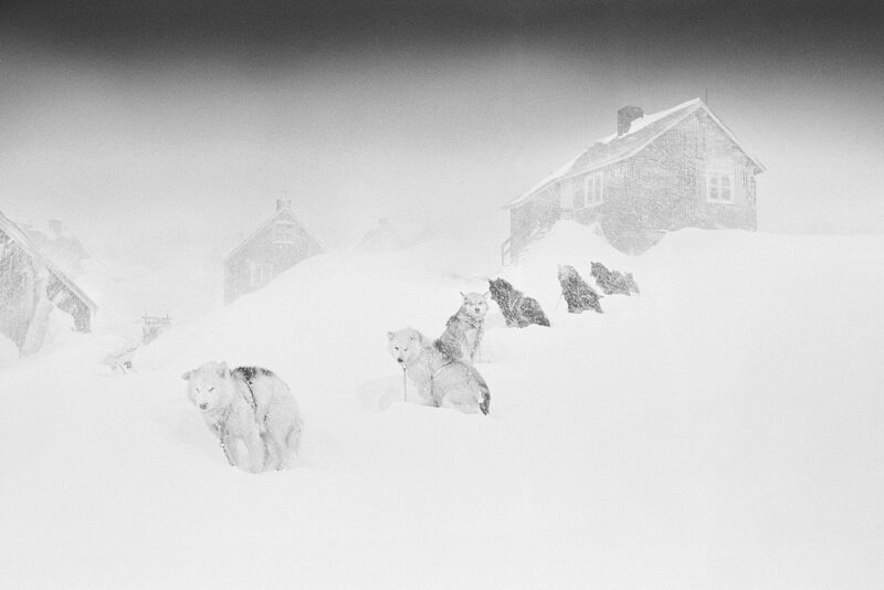 Arctic Heroes Nº 33