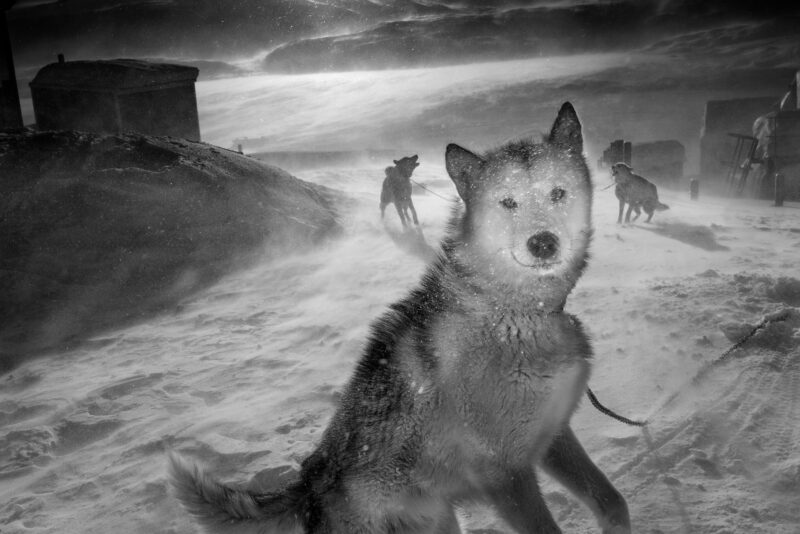 Storm in Tiniteqilaq, Greenland, 2015